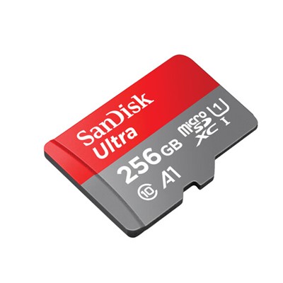 闪迪/SanDisk  256G U盘/存储卡 SD存储卡/高速移动版